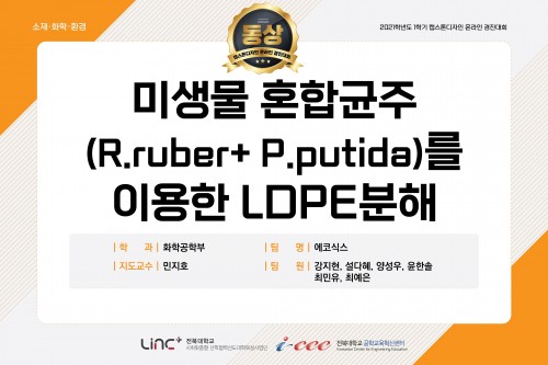 미생물 혼합균주(R.ruber+ P.putida)를 이용한 LDPE분해